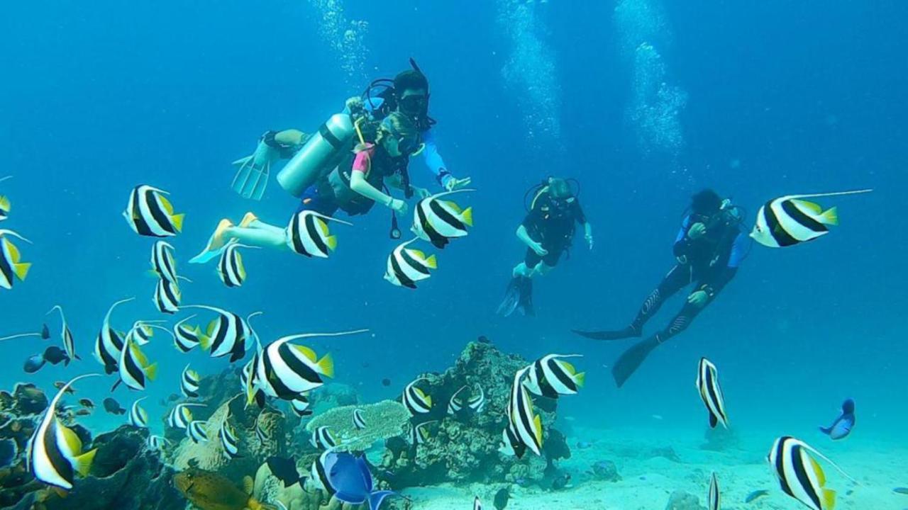 Sunia Loka Bungalows & Dive Center Pemuteran Buitenkant foto