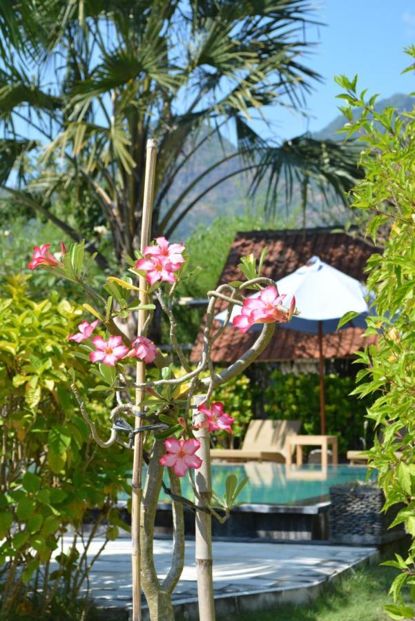 Sunia Loka Bungalows & Dive Center Pemuteran Buitenkant foto
