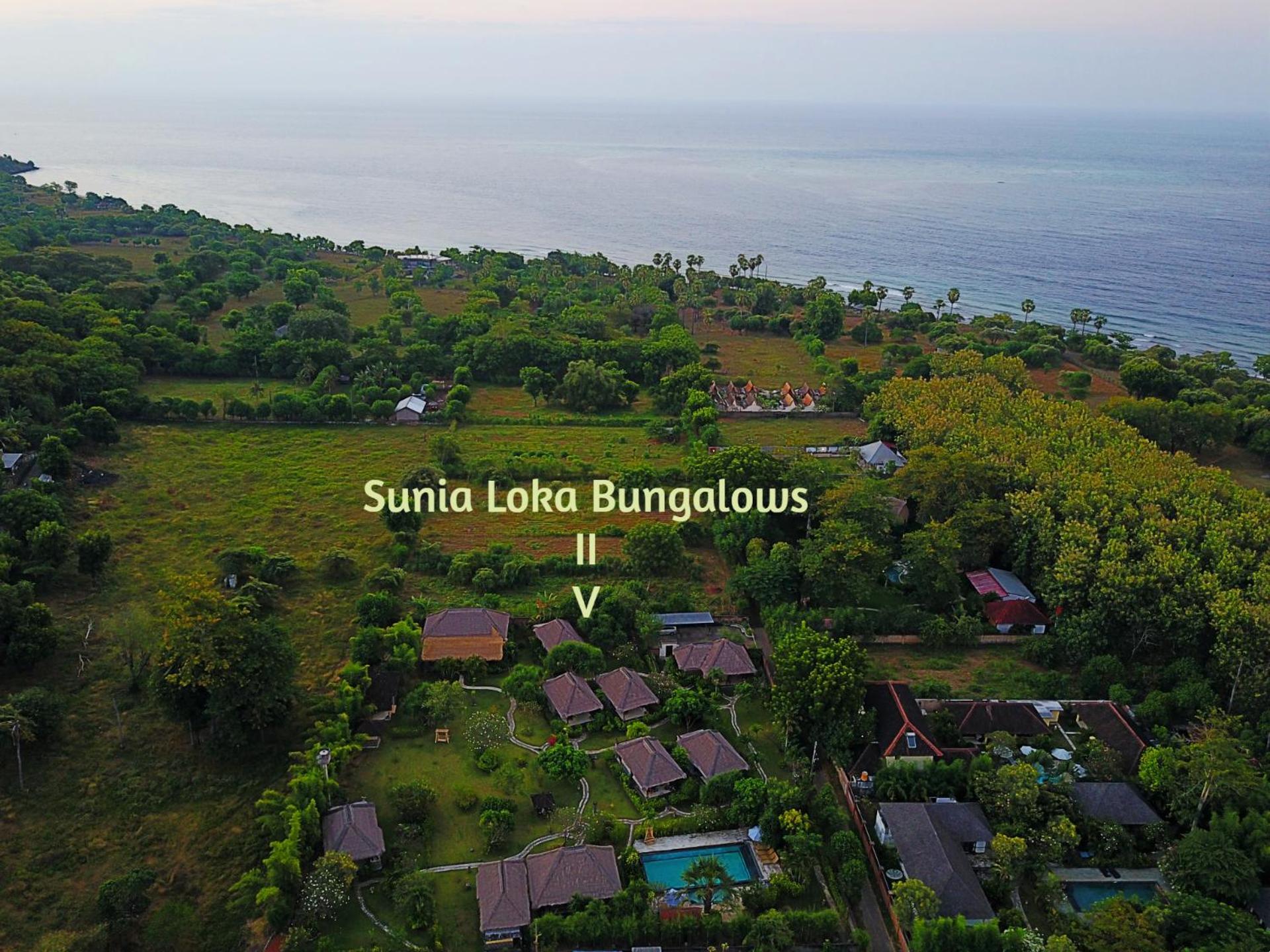Sunia Loka Bungalows & Dive Center Pemuteran Buitenkant foto