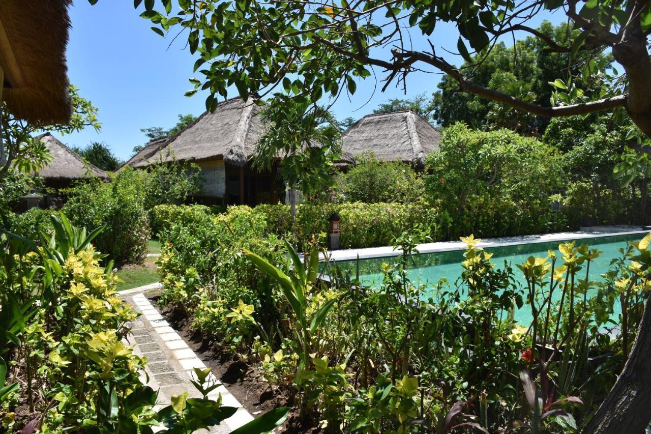 Sunia Loka Bungalows & Dive Center Pemuteran Buitenkant foto
